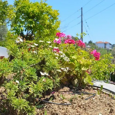 Maraki 3* Platanias (Skiathos)