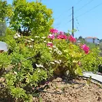 Maraki 4* Platanias (Skiathos)