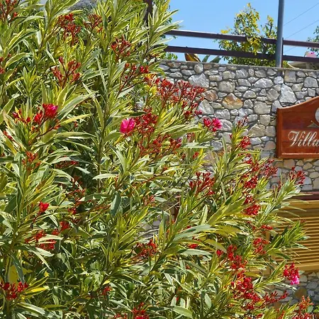 Aparthotel Maraki 3*