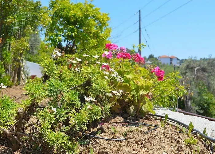 Maraki 3* Platanias (Skiathos)